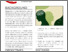 [thumbnail of 23-059-01_neurodivergence_and_ve_case_studies_overview (3).pdf]