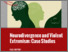 [thumbnail of Report_Neurodivergence and VE Case Studies_V2.pdf]