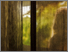 [thumbnail of Shadow Spirit - Rising-446.jpg]