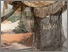 [thumbnail of IMG_4073.jpeg]