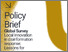 [thumbnail of ANU AVERT Disrupting Disinformation Ecologies Policy Brief 1_Trijsburg et al_JAN 2026.pdf]